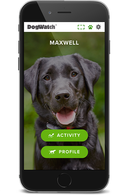 DogWatch of the Piedmont, Oak Park, VA | SmartFence WebApp Image